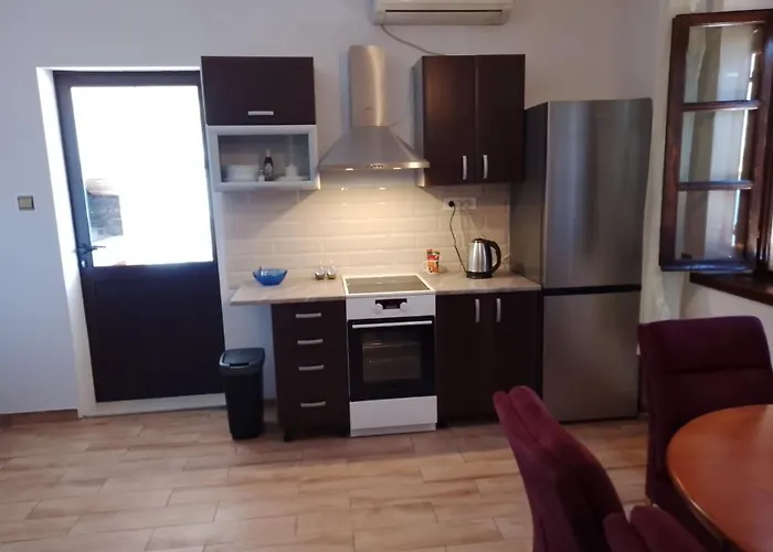 Plava Riba Apartment *