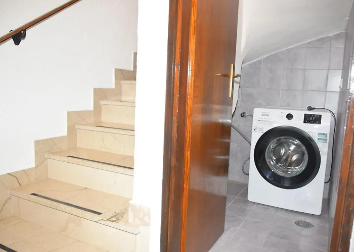 Plava Riba * שיבניק